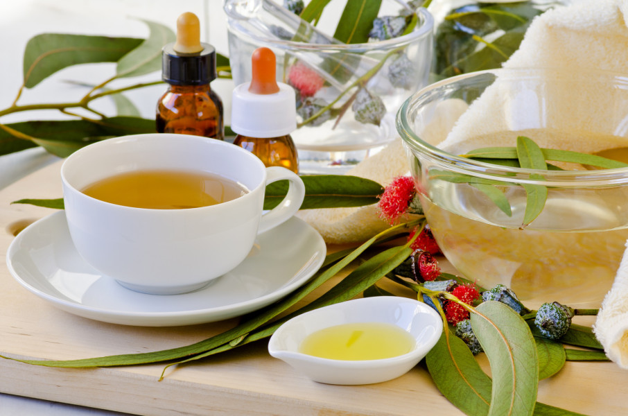 Still life of derived products from eucalyptus . Selective focus. Taken in daylight.